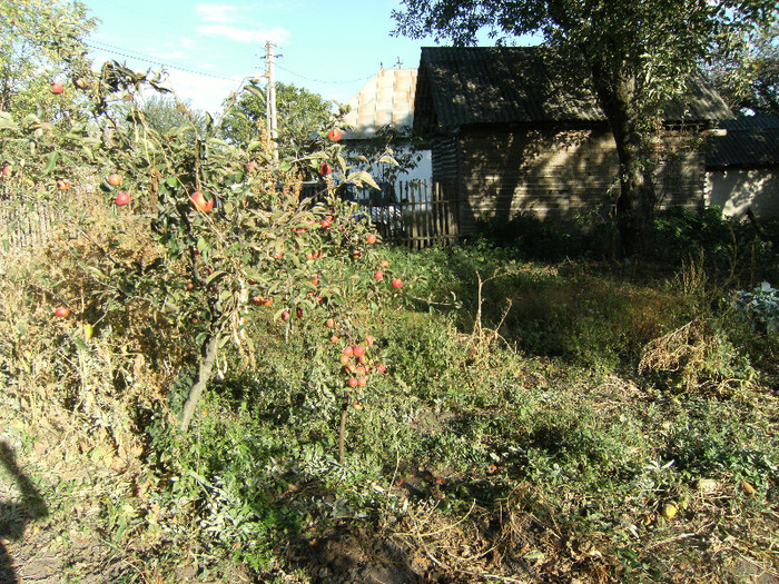 1 oct 2011 054