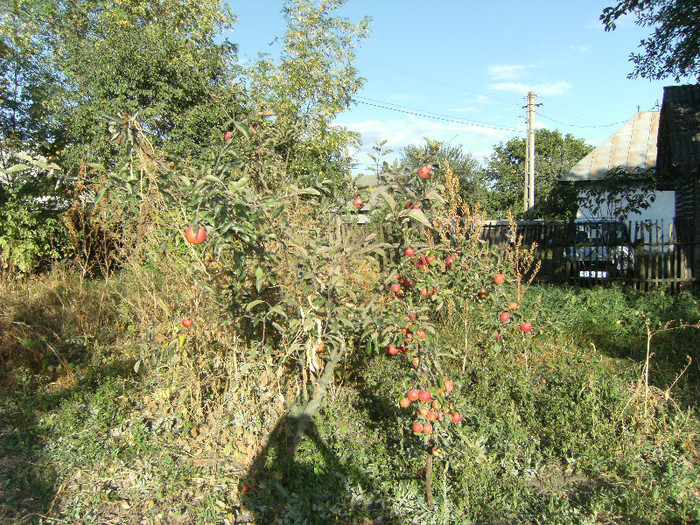 1 oct 2011 055