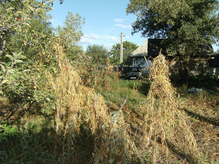 1 oct 2011 057