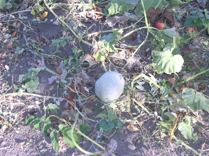 1 oct 2011 061