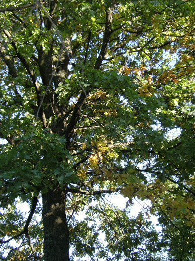 1 oct 2011 071