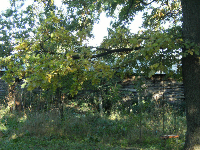 1 oct 2011 072