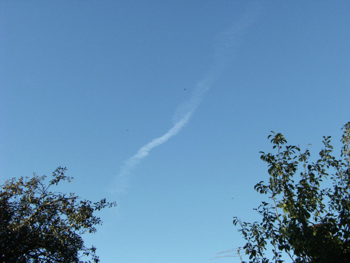 1 oct 2011 074