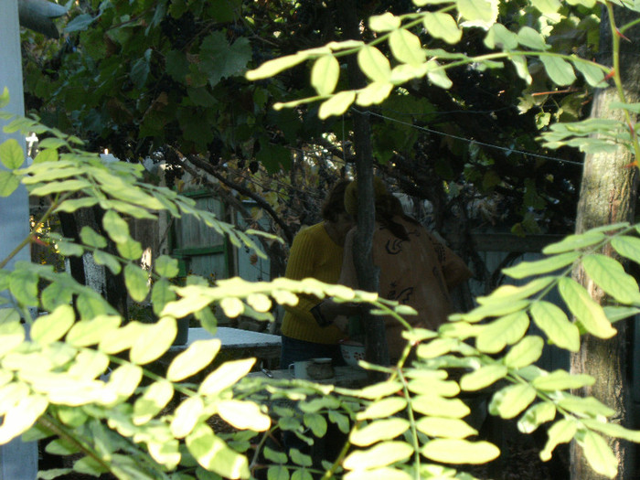 1 oct 2011 075