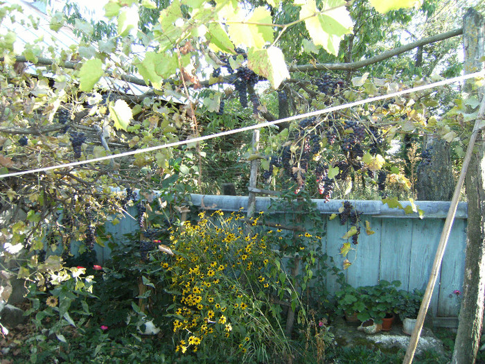 1 oct 2011 079