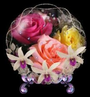 q - poze flori