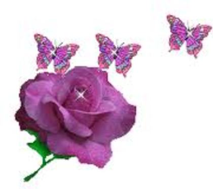 22 - poze flori