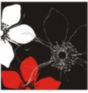 stylized-floral-design-vector
