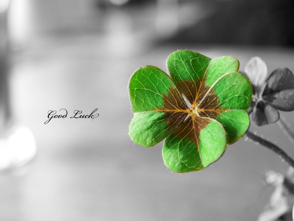 Good_Luck_by_bluEeye93 - Poze