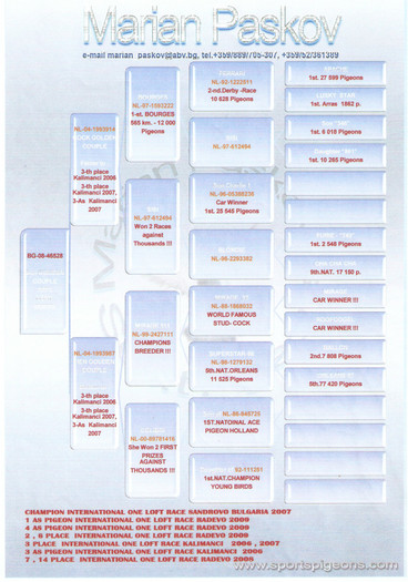 ALBASTRU 08 PASKOV - PEDIGREE PORUMBEI MATCA