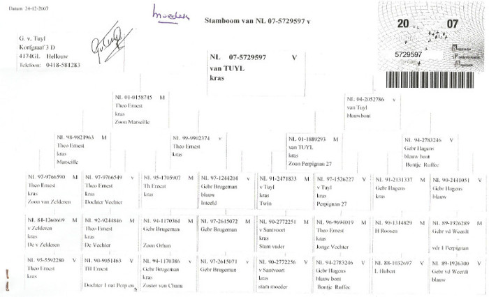 MAMA NEPOATA VANOPPEN 791-09