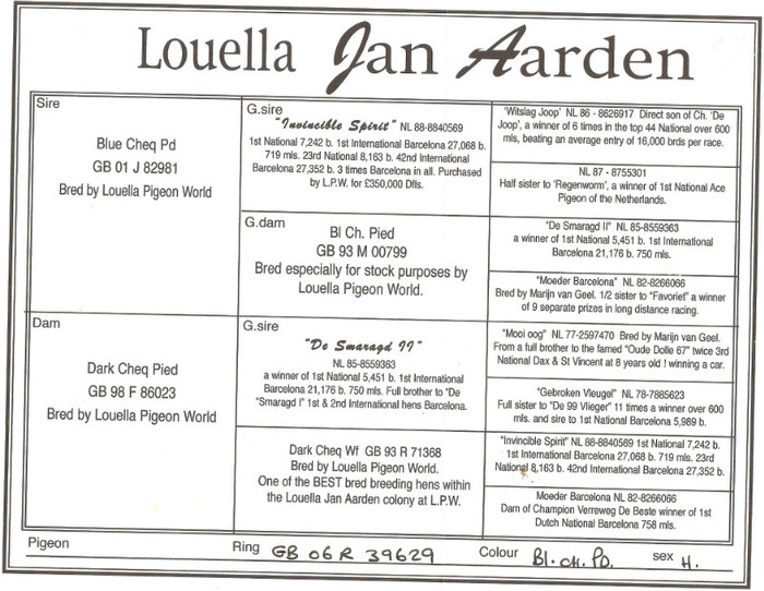NEPOT INVINCIBLE SPIRIT  &SMARAGD 2