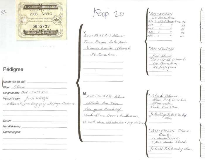 NEPOT PRIMUS INTERPARES-SIMONS