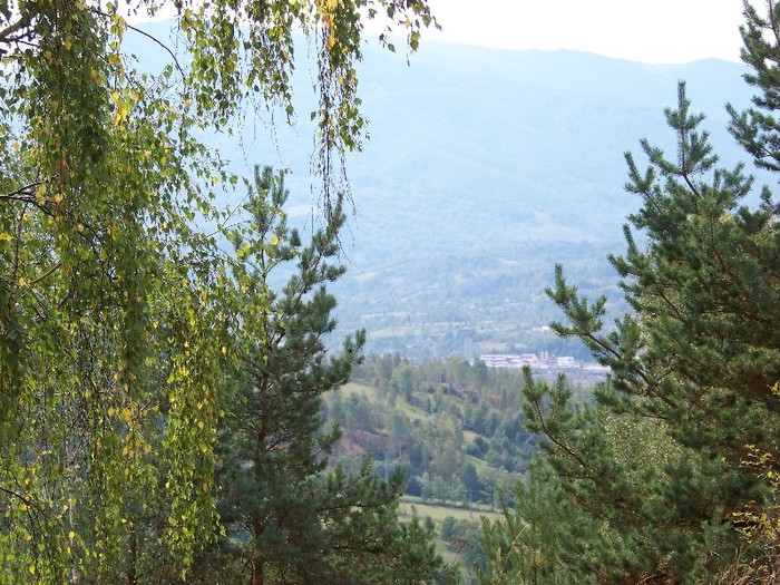 100_8062 - Valea Maleia Muntii Parang