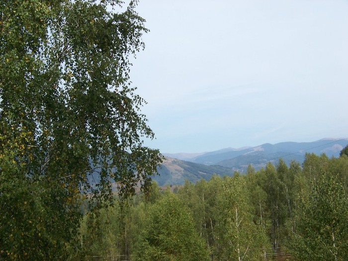 100_8065 - Valea Maleia Muntii Parang