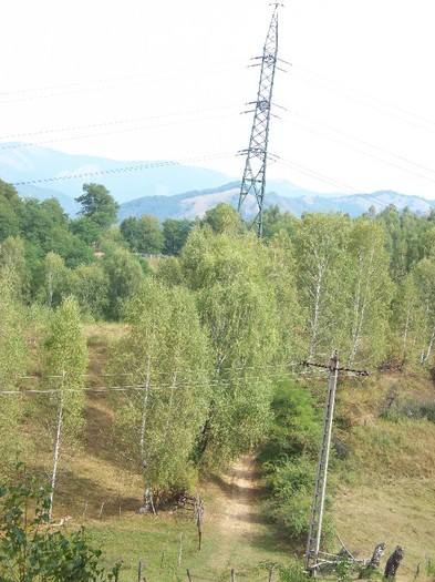 100_8071 - Valea Maleia Muntii Parang