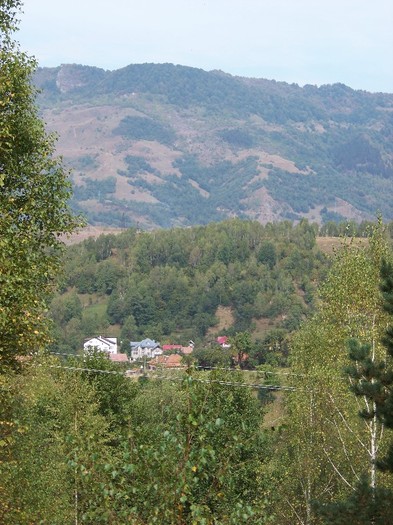 100_8072 - Valea Maleia Muntii Parang