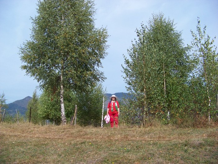 100_8093 - Valea Maleia Muntii Parang