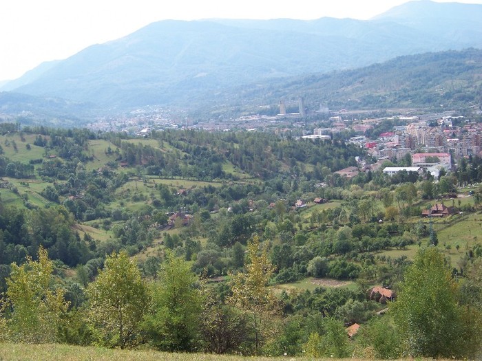 100_8096 - Valea Maleia Muntii Parang