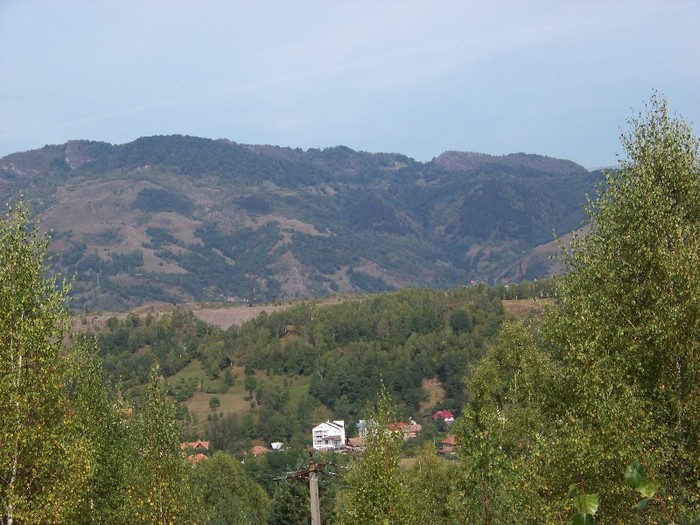 100_8100 - Valea Maleia Muntii Parang