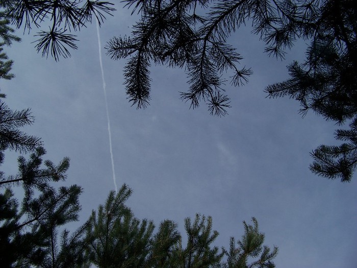 100_8103 - Valea Maleia Muntii Parang