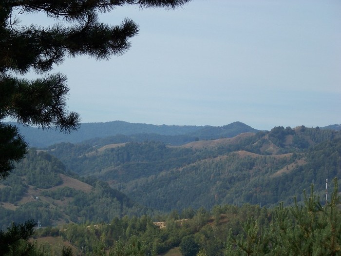 100_8128 - Valea Maleia Muntii Parang