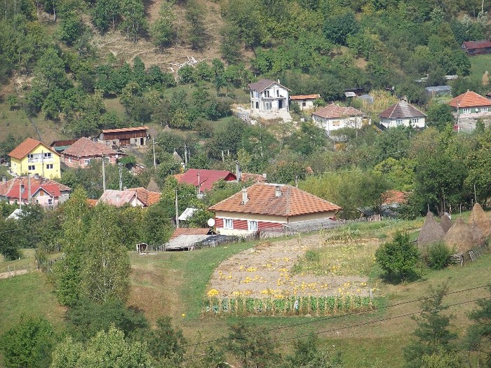 100_8134 - Valea Maleia Muntii Parang