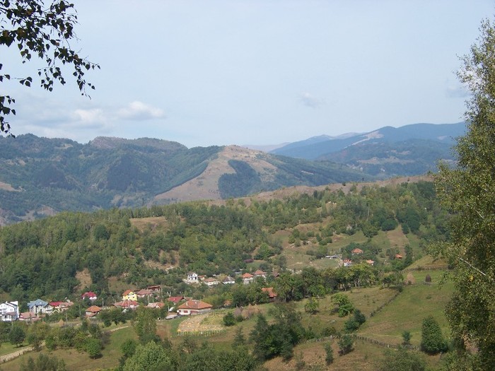 100_8135 - Valea Maleia Muntii Parang