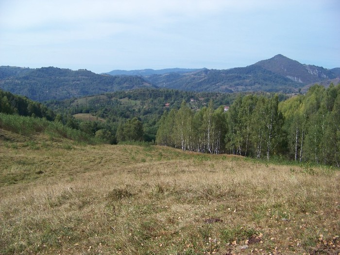 100_8173 - Valea Maleia Muntii Parang