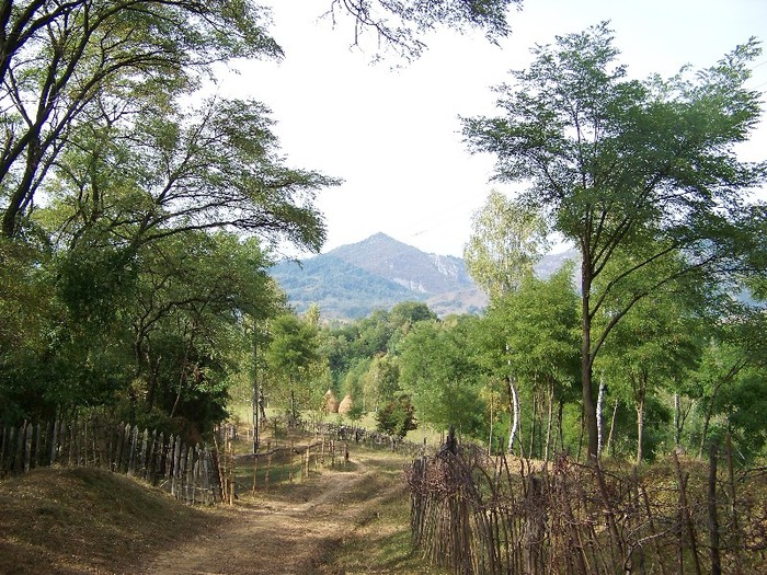 100_8193 - Valea Maleia Muntii Parang