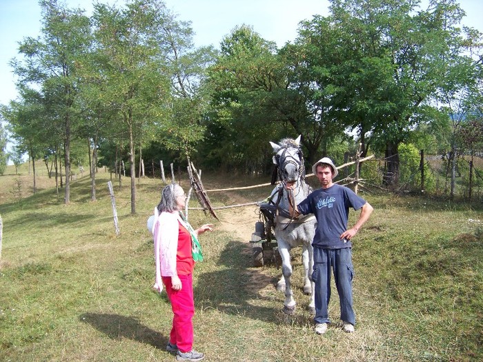 100_8203 - Valea Maleia Muntii Parang