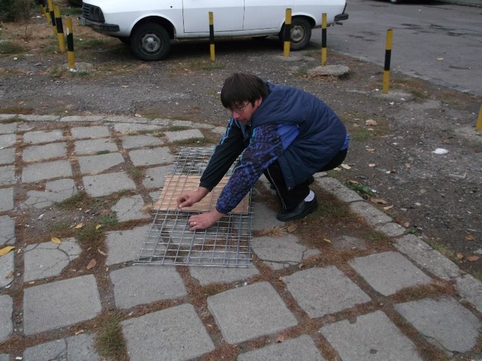 GOSPODAR IN EXECITIUL FUNCTIUNII - TARG DE PASARI SI ANIMALE MICI BISTRITA