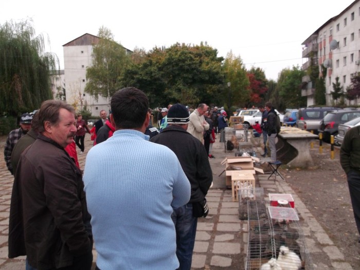 LUME BUNA - TARG DE PASARI SI ANIMALE MICI BISTRITA