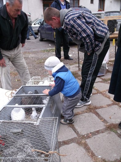 IL " VLEAU" pe ALA MALE