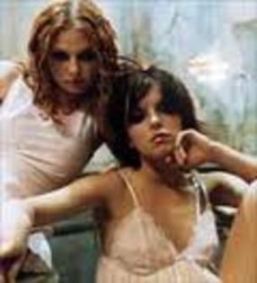 imagesCA2BG074 - tatu