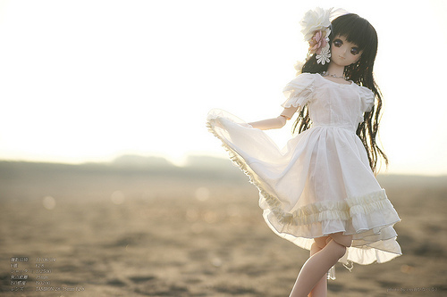 5798700135_0fac2c8270 - Own