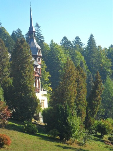 SAM_3470 - sinaia 2011