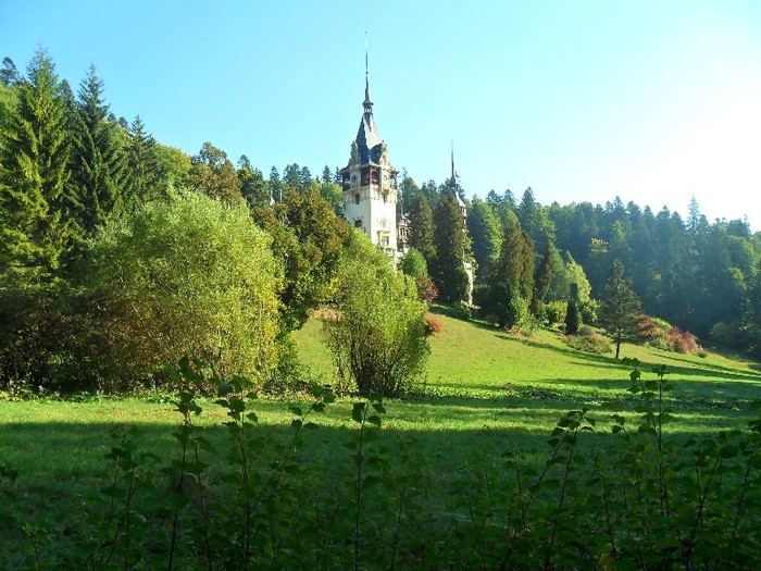 SAM_3467 - sinaia 2011