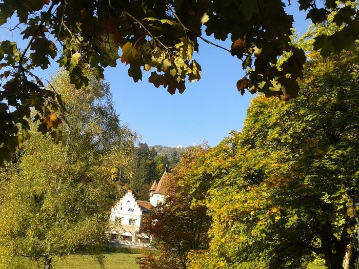 C360_2011-10-07 09-32-33 - sinaia 2011