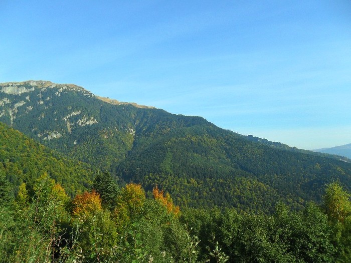 SAM_3057 - sinaia 2011