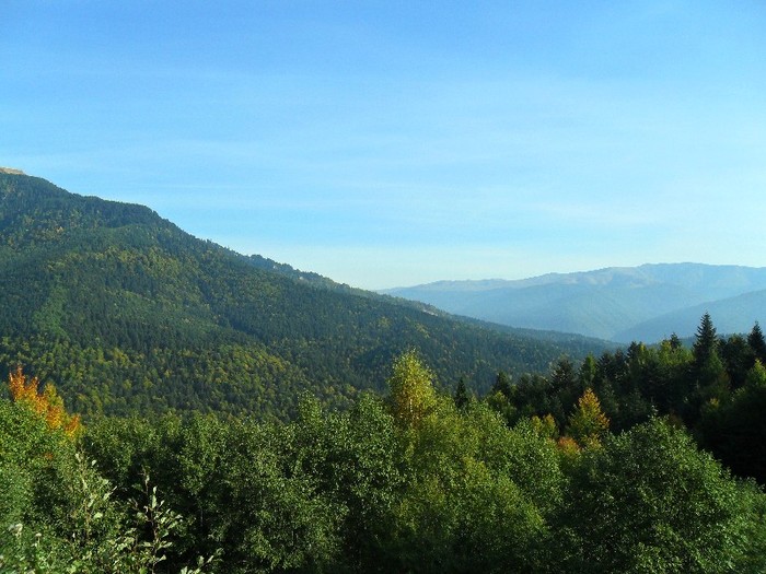 SAM_3058 - sinaia 2011