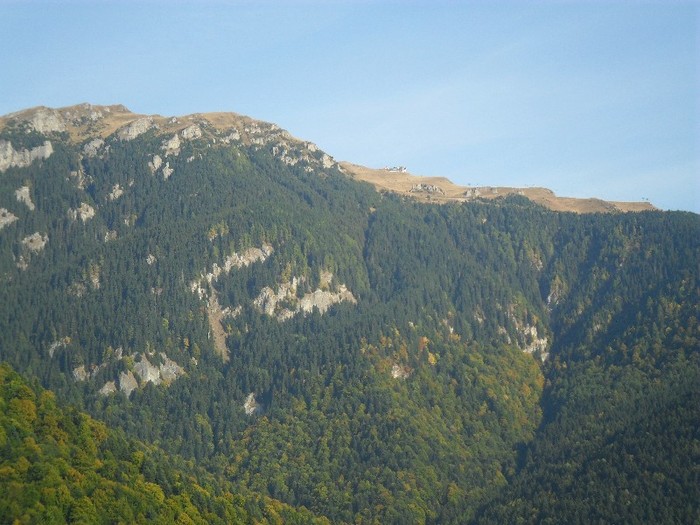 SAM_3059 - sinaia 2011