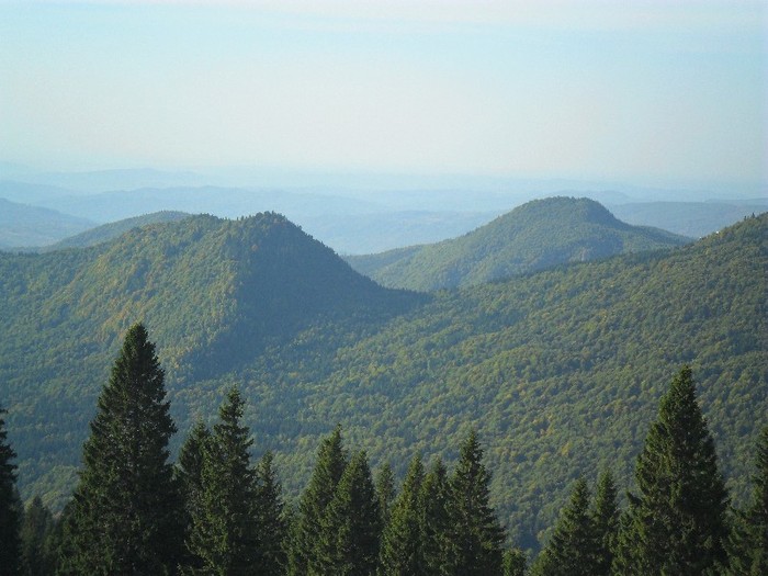 SAM_3066 - sinaia 2011