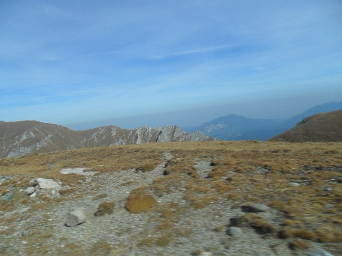 SAM_3195 - sinaia 2011