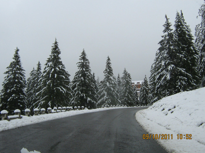 lmtv_25_ani 084 - 2011 - intalnire 25 ani liceu - Satic - Rucar