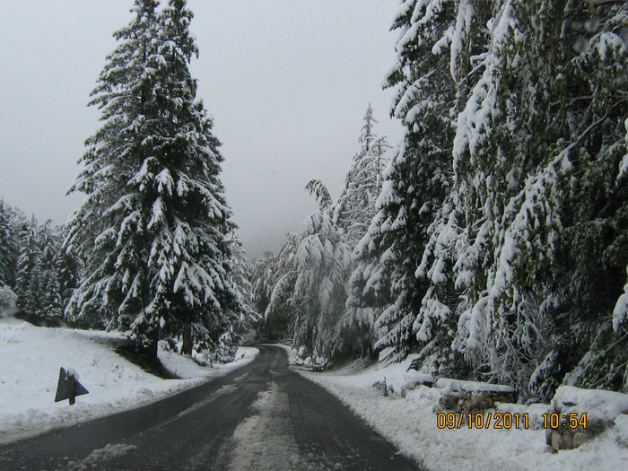 lmtv_25_ani 086 - 2011 - intalnire 25 ani liceu - Satic - Rucar