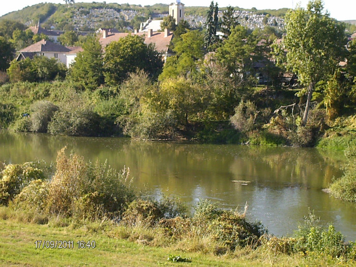 Muresul, trece prin orasul Ludus