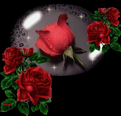 1285142982_red20glitter20roses - poze flori