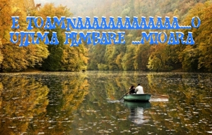 E TOAMNA !....ACUM CHIAR SE SIMTE !; tri
