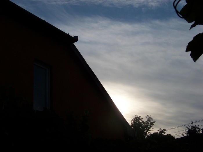 100_9810 - Octombrie 2011 flori